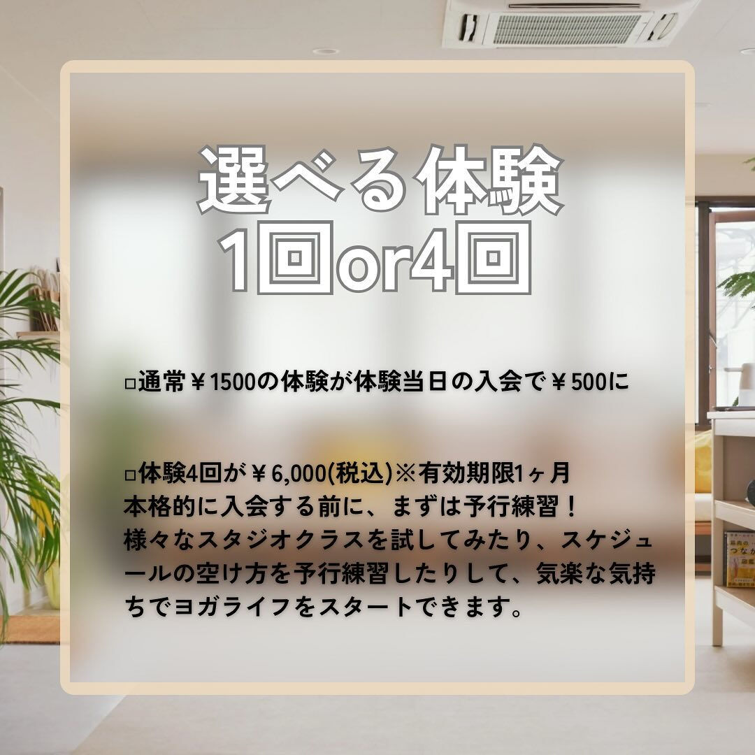 \明けましておめでとうございます🐍/